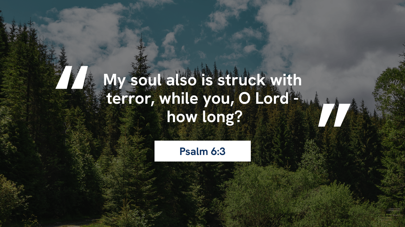 New-Devotionals-02